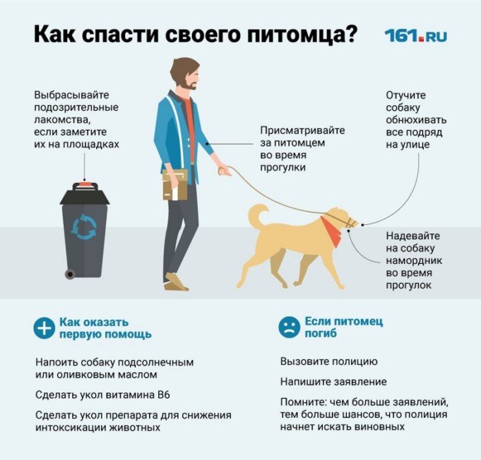 Занимательные и полезные шпаргалки о домашних питомцах