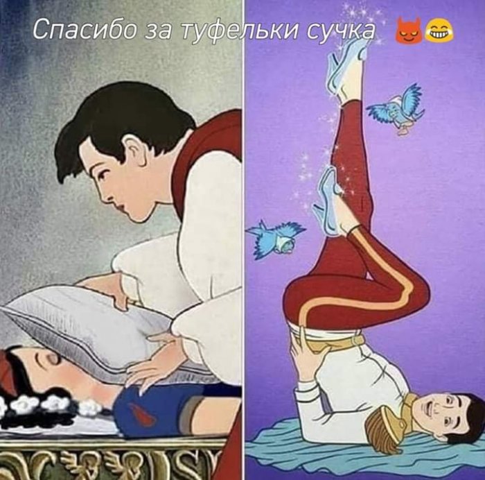 Забавные картинки