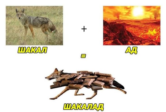 Забавные картинки