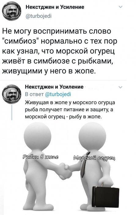 Забавные картинки