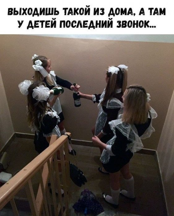 Забавные картинки