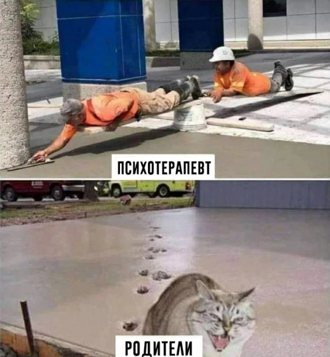 Забавные картинки