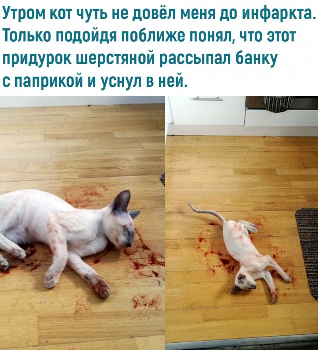 Забавные картинки