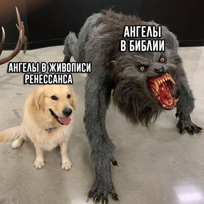Забавные картинки