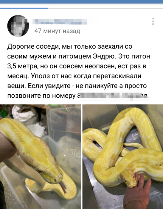 Забавные картинки