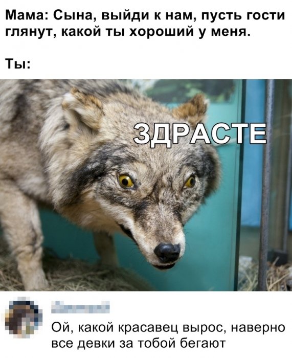 Забавные картинки