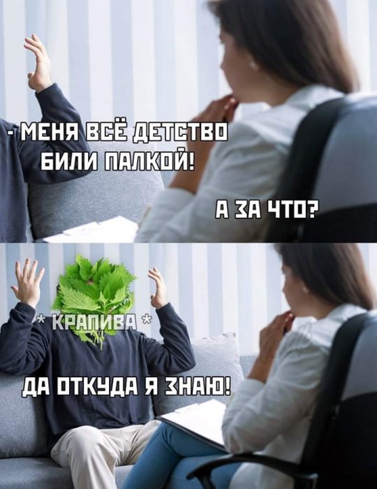 Забавные картинки