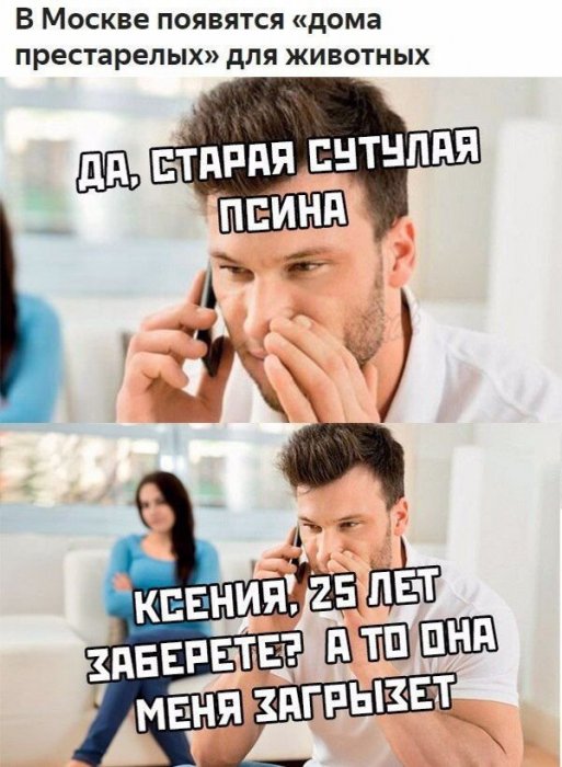 Забавные картинки