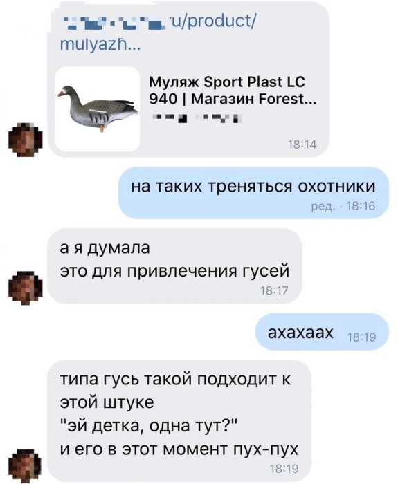 Забавные картинки