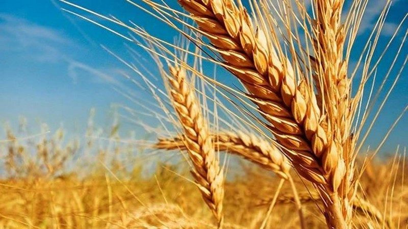 Интересные факты на разные темы