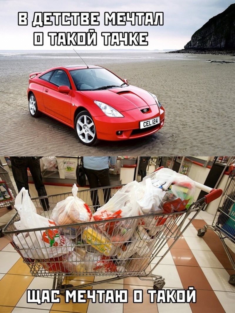 Прикольные картинки