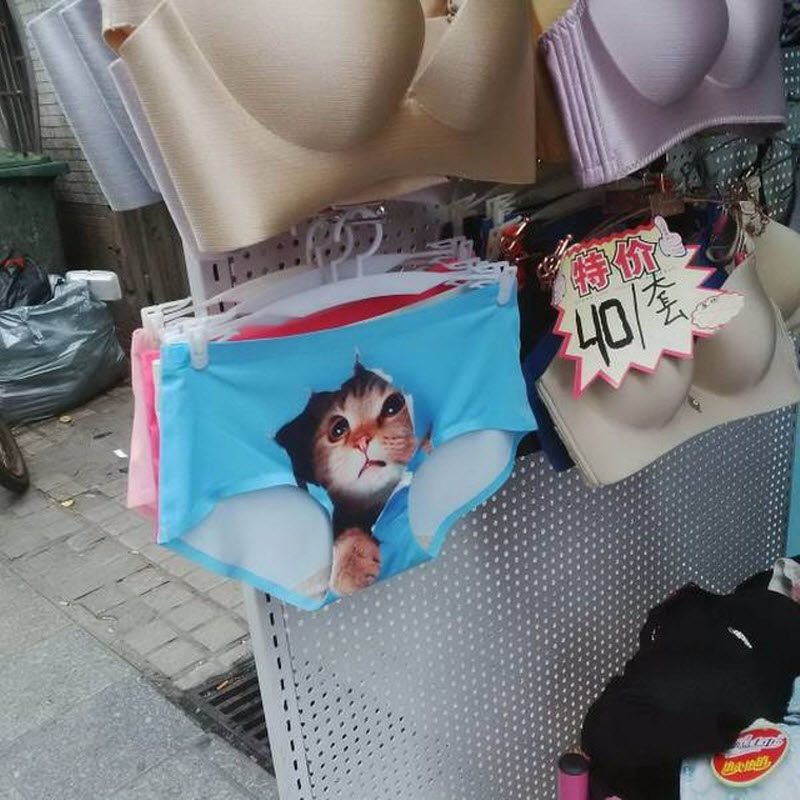 Прикольные картинки