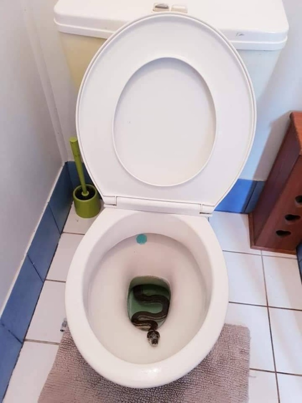 Когда день не задался