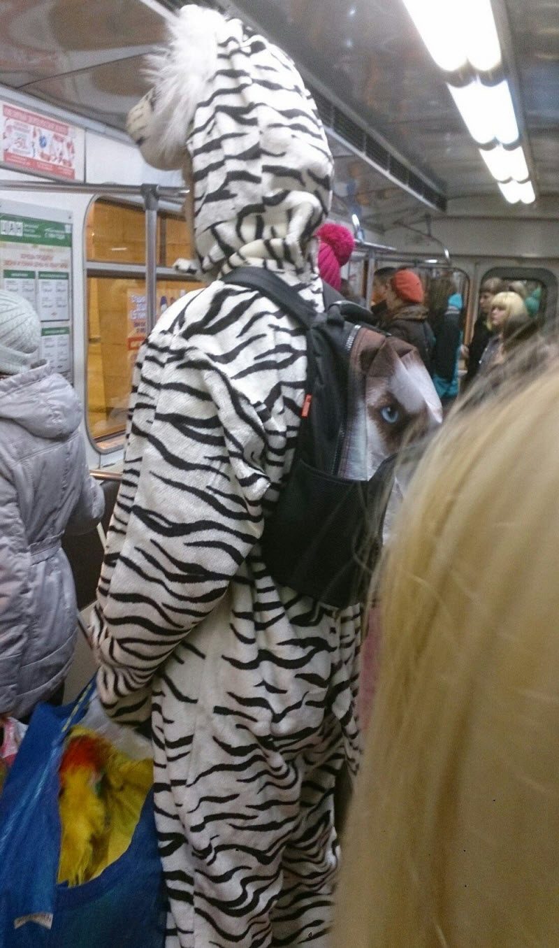Модники из российского метрополитена