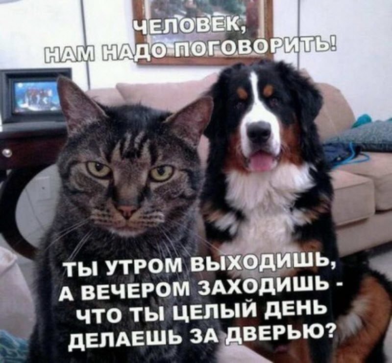 Прикольные картинки