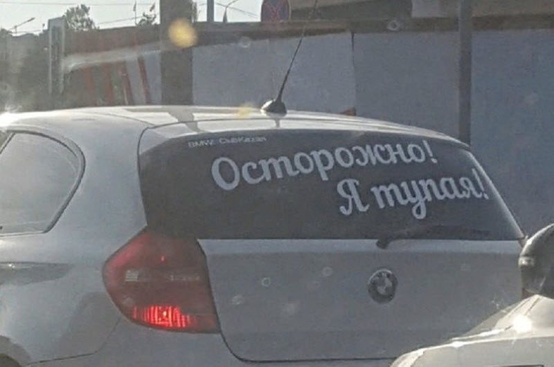 Прикольные картинки