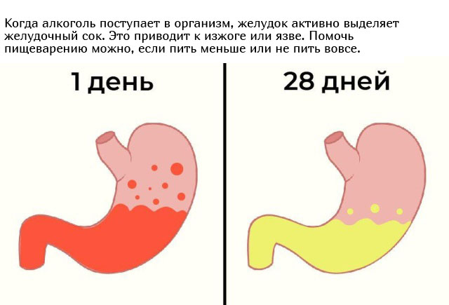 Что будет с организмом, если перестать принимать алкоголь