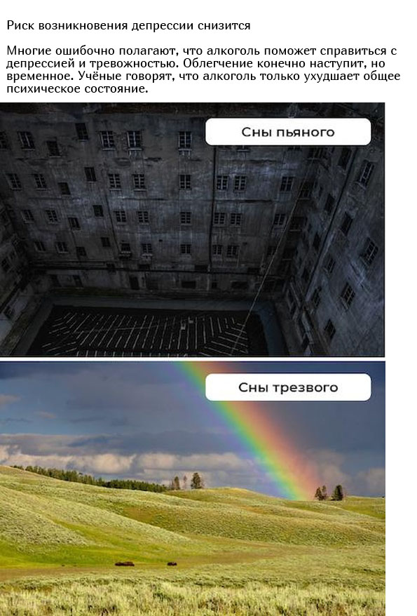 Что будет с организмом, если перестать принимать алкоголь