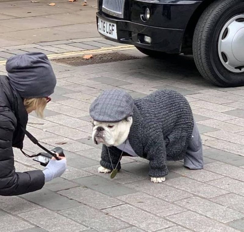 Прикольные картинки