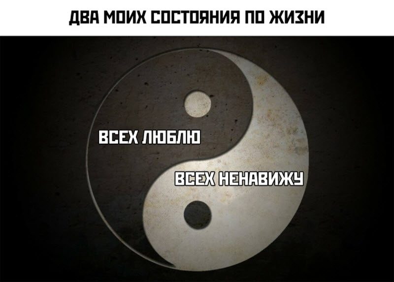Прикольные картинки