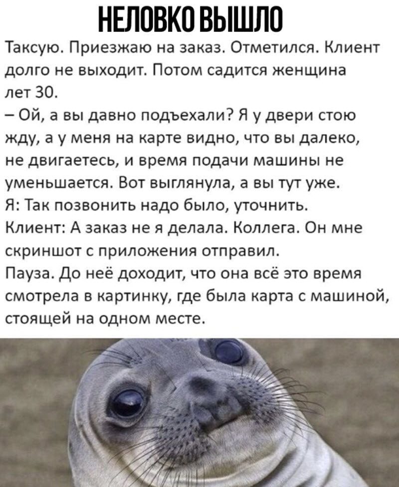 Прикольные картинки