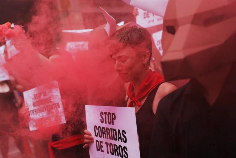 Полуголый протест против корриды