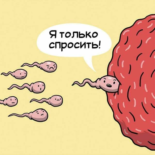 Серия комиксов о работе внутренних органов человека