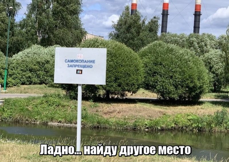 Прикольные картинки