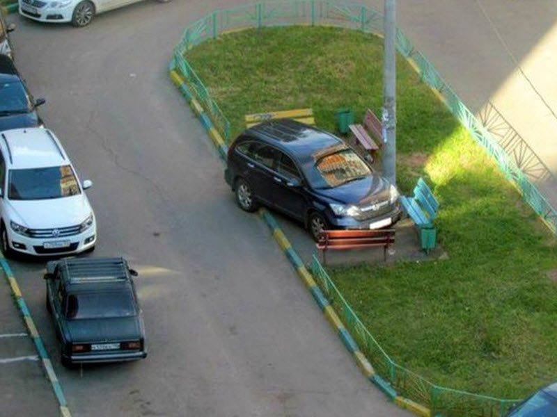 Прикольные картинки