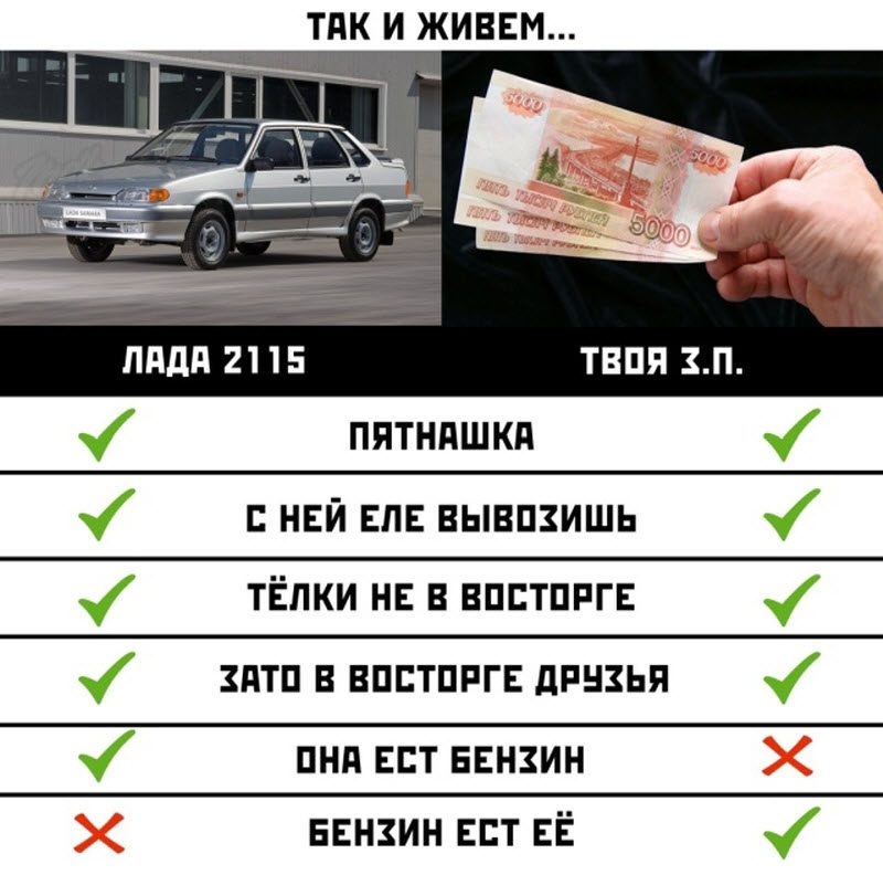 Прикольные картинки
