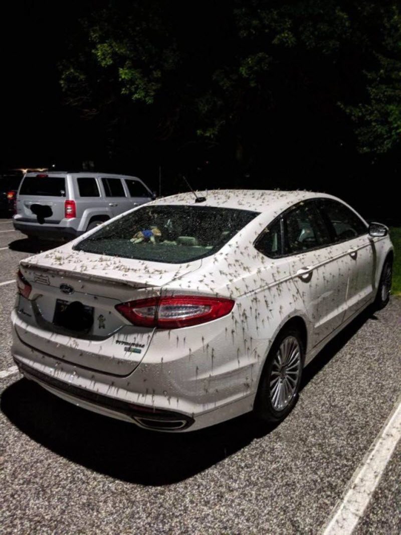 Прикольные картинки