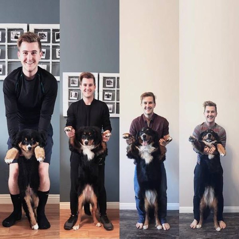 Прикольные картинки