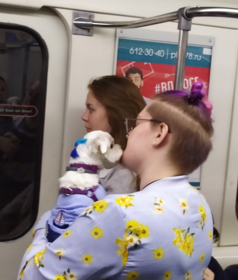 Модники из российского метрополитена