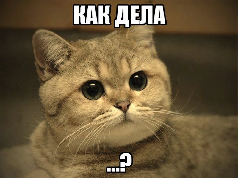 13 привычек, которые есть только у нашего человека