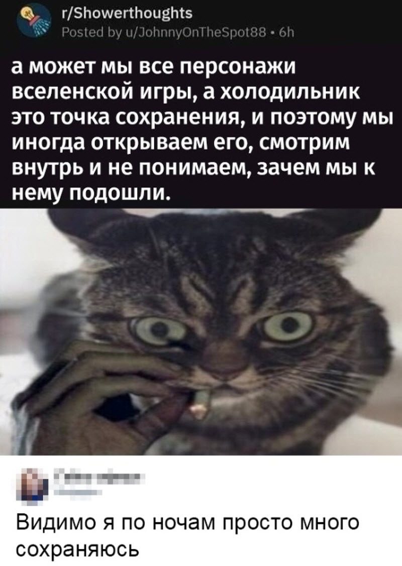Прикольные картинки