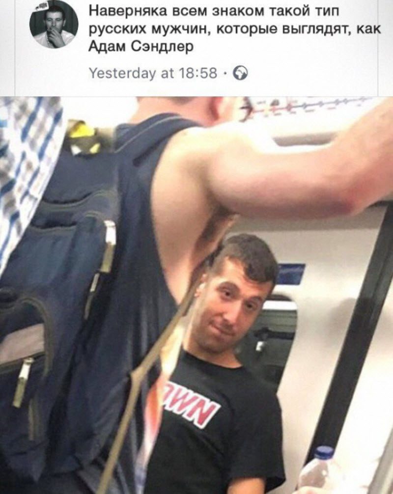 Прикольные картинки