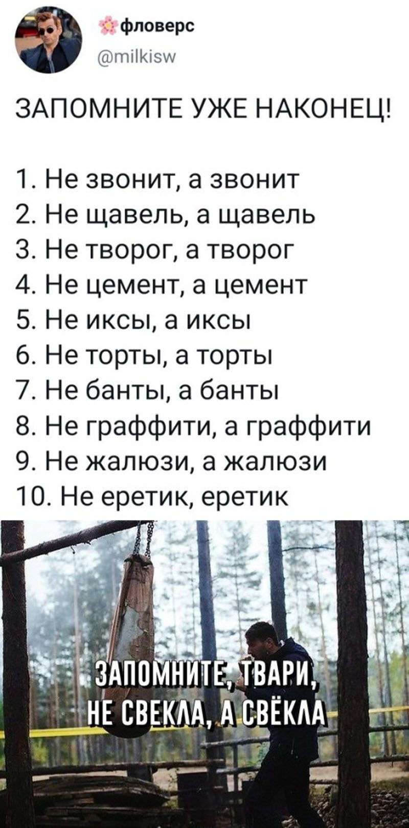 Прикольные картинки