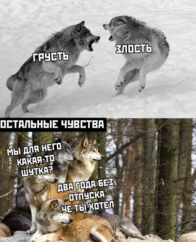 Прикольные картинки