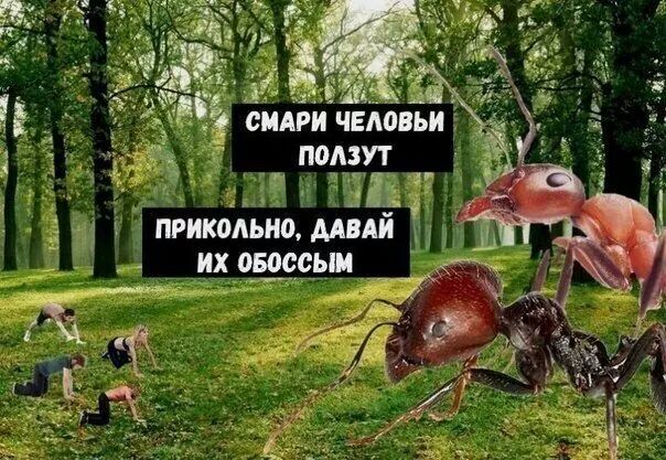 Забавные картинки