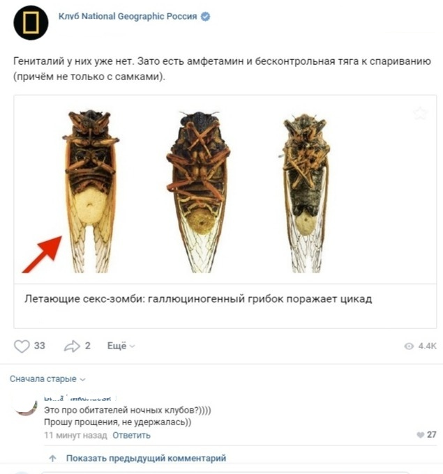 Забавные картинки