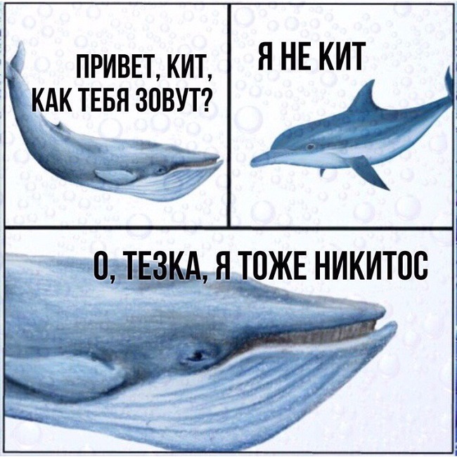 Забавные картинки