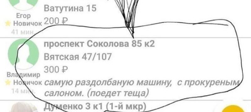 Прикольные картинки