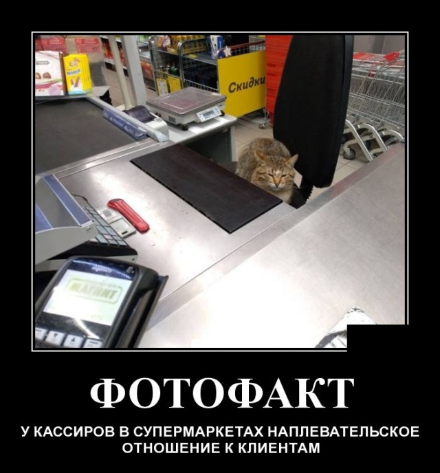 Демотиваторы