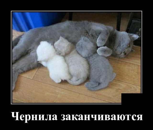 Демотиваторы