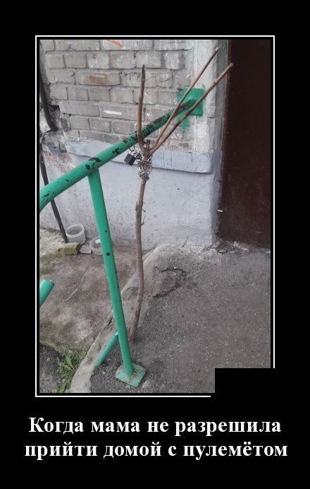 Демотиваторы