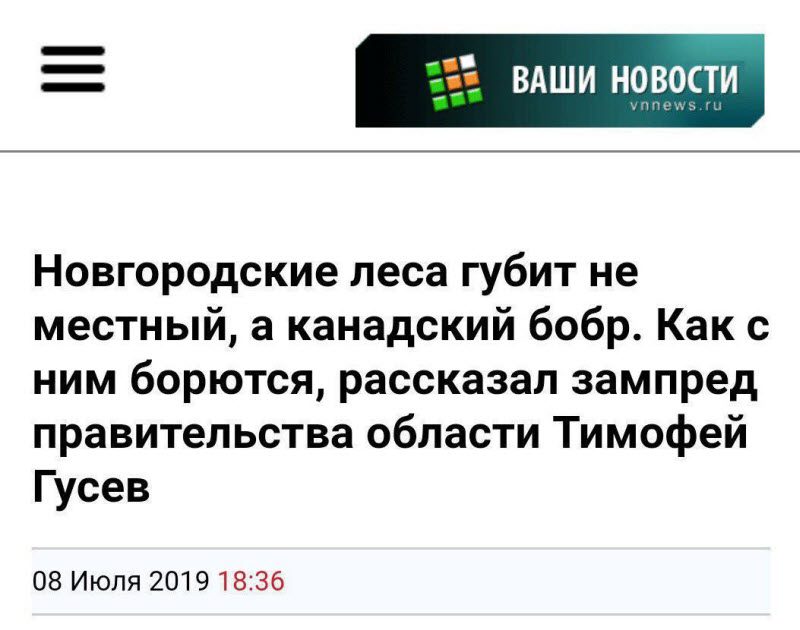 Забавные заголовки новостей