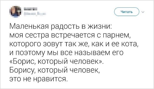 Забавные твиты о конфликтах братьев и сестер