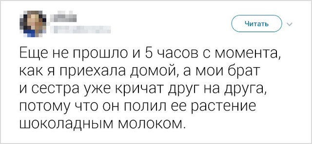 Забавные твиты о конфликтах братьев и сестер