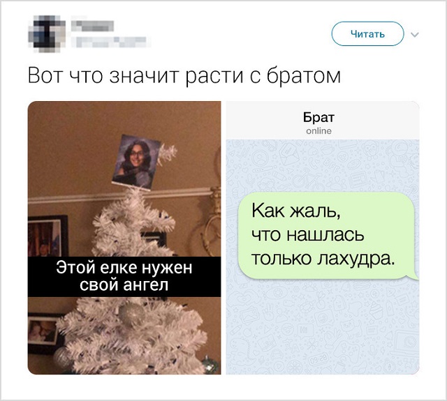 Забавные твиты о конфликтах братьев и сестер