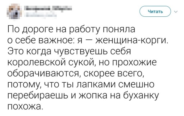 Юмор из социальных сетей